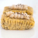 Lemon & Poppy seed Muffin